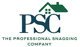 Snagging Company Logo